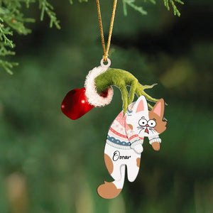 Personalized Hand Holding Cat Xmas Gift Acrylic Ornament Printed PTN23750