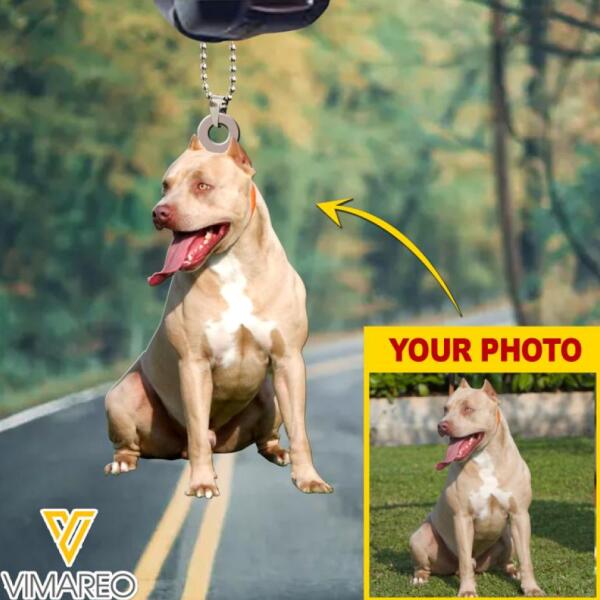 DH Personalized Pitbull Dog Photo Hanging Ornament DEC-MA15