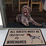 Wirehaired Pointer Dog DNEH